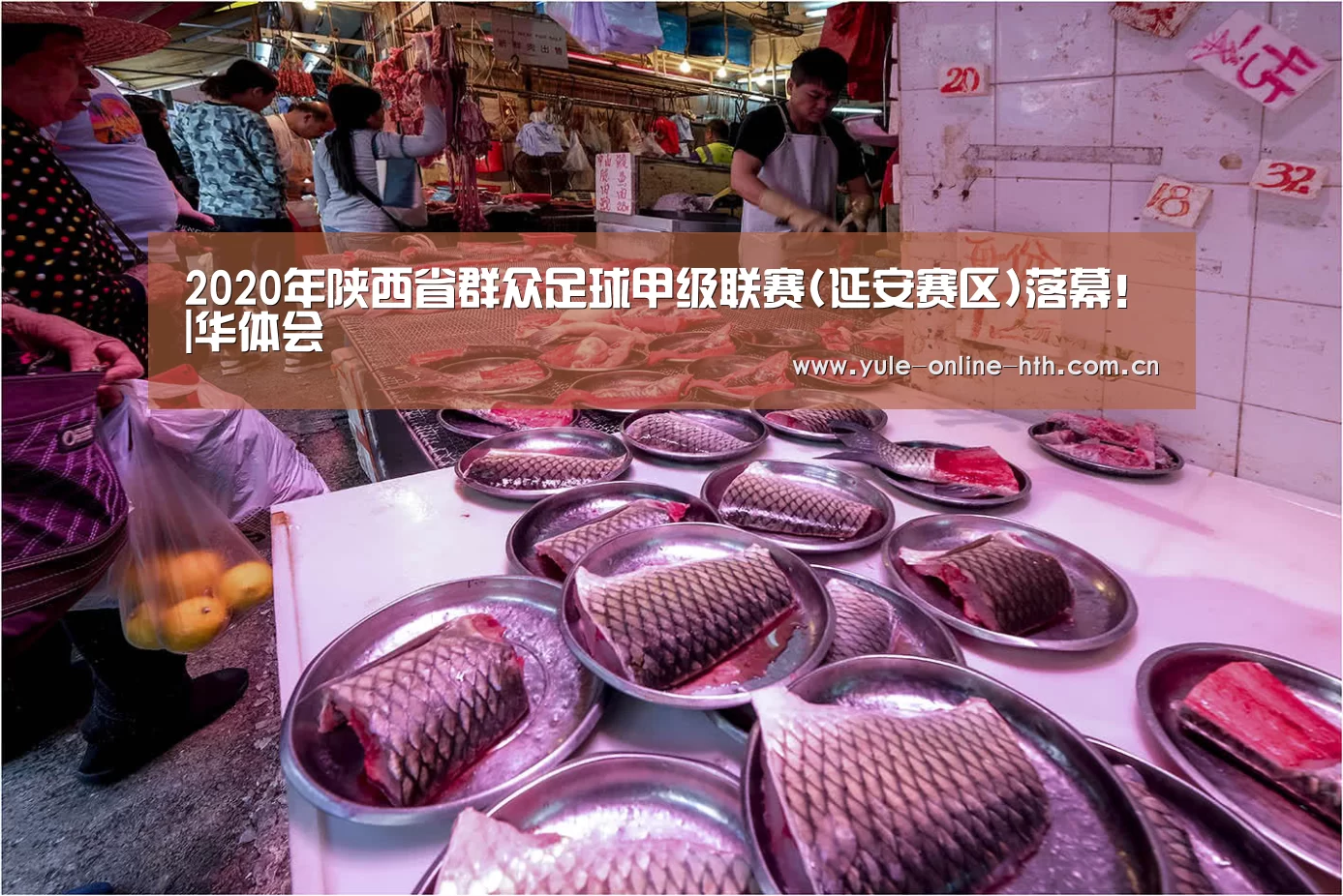 华体会登录