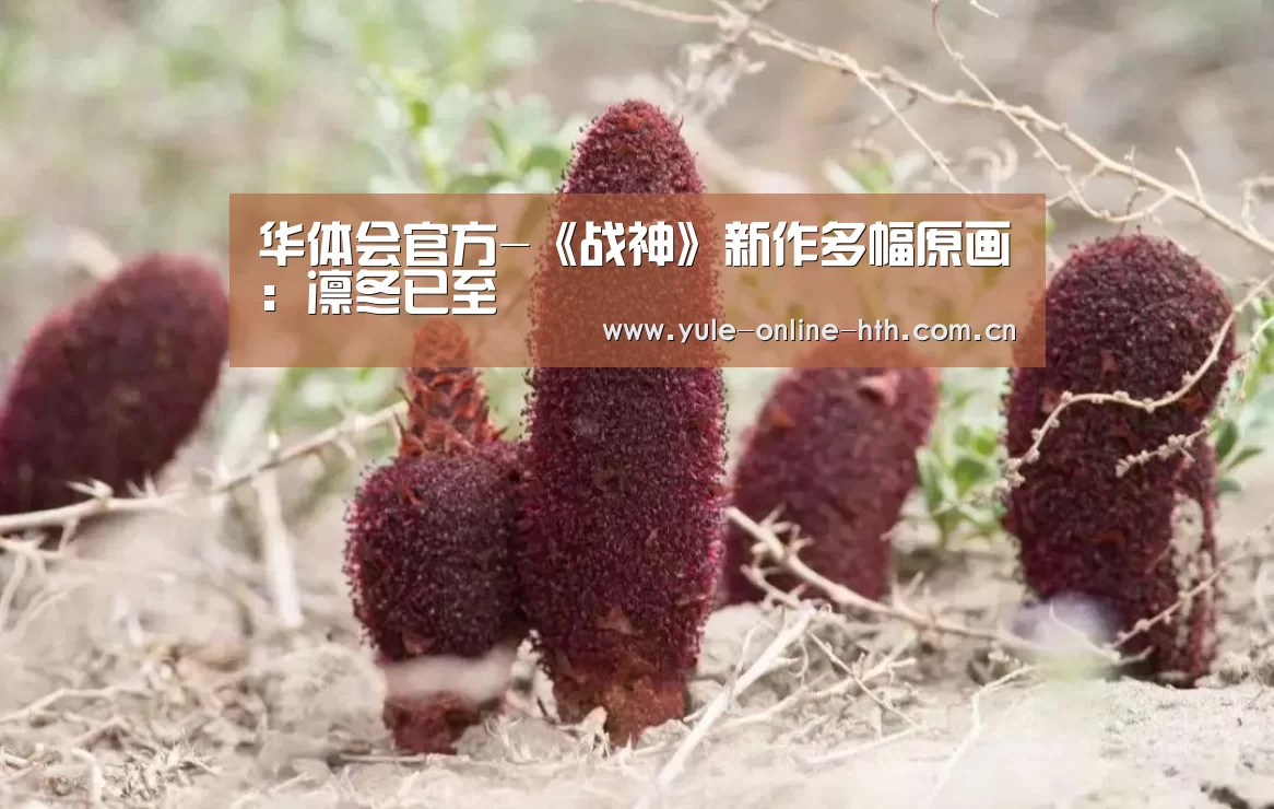 华体会登录