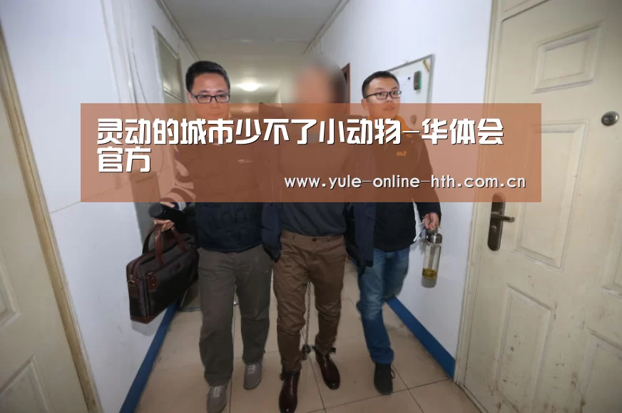 华体会官网